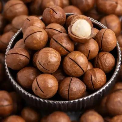ماکادمیا — آقای زعفران