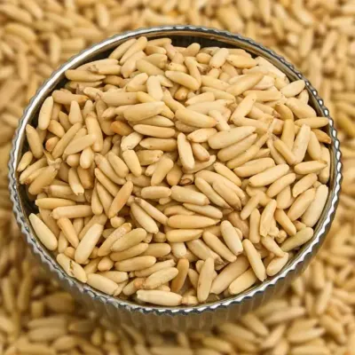 مغز تخمه چلغوزه — آقای زعفران