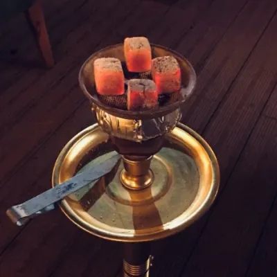 آدامس نعنا — گلاویژ
