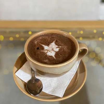 هات چاکلت — هامون
