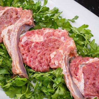 چلوشيشليك مخصوص شانديز — جگرطوری