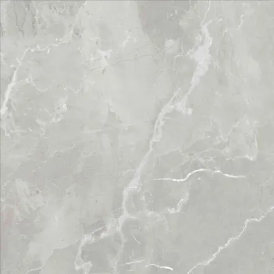 استنلی طوسی روشن — Habibi Construction Group