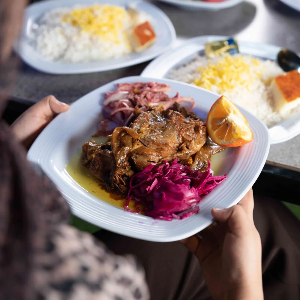 چلو گوشت محتشم در باغ محتشم