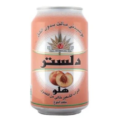 دلستر — ماهان شاندیز
